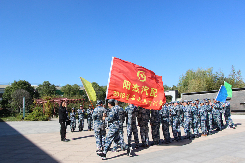 1542177784324760.jpg 12.JPG